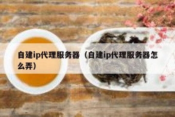自建ip代理服务器(自建ip代理服务器怎么弄)