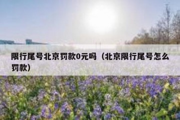 限行尾号北京罚款0元吗（北京限行尾号怎么罚款）