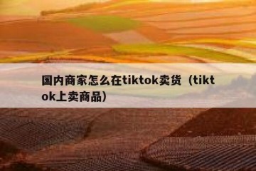 国内商家怎么在tiktok卖货（tiktok上卖商品）