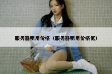 服务器租用价格（服务器租用价格低）