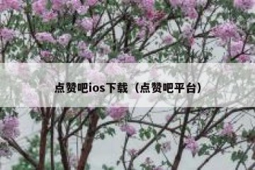 点赞吧ios下载（点赞吧平台）