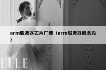 arm服务器芯片厂商（arm服务器概念股）