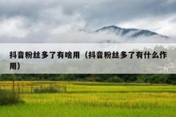 抖音粉丝多了有啥用（抖音粉丝多了有什么作用）