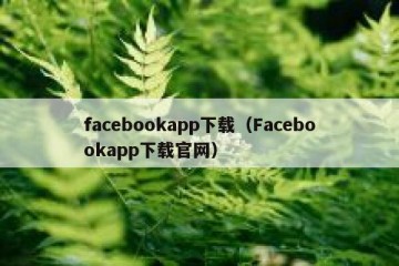facebookapp下载（Facebookapp下载官网）