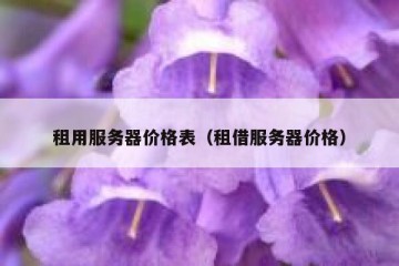 租用服务器价格表（租借服务器价格）