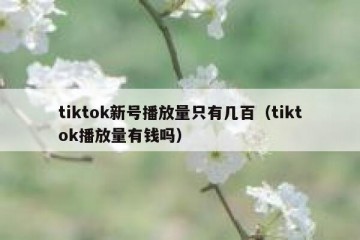 tiktok新号播放量只有几百（tiktok播放量有钱吗）