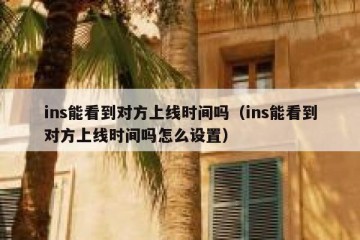 ins能看到对方上线时间吗（ins能看到对方上线时间吗怎么设置）