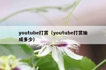 youtube打赏（youtube打赏抽成多少）