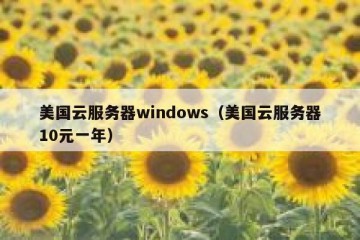 美国云服务器windows（美国云服务器10元一年）