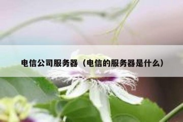 电信公司服务器（电信的服务器是什么）