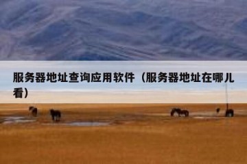 服务器地址查询应用软件（服务器地址在哪儿看）