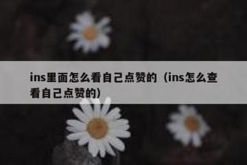 ins里面怎么看自己点赞的（ins怎么查看自己点赞的）