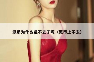 派币为什么进不去了呢（派币上不去）