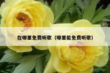 在哪里免费听歌（哪里能免费听歌）