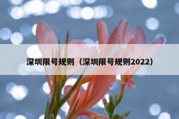 深圳限号规则（深圳限号规则2022）