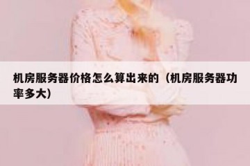 机房服务器价格怎么算出来的（机房服务器功率多大）
