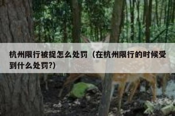 杭州限行被捉怎么处罚（在杭州限行的时候受到什么处罚?）