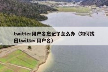 twitter用户名忘记了怎么办（如何找回twitter用户名）