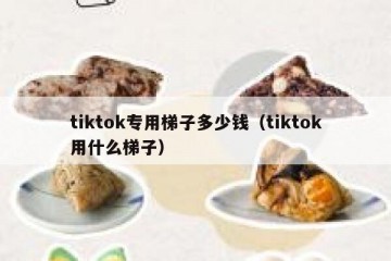 tiktok专用梯子多少钱（tiktok用什么梯子）