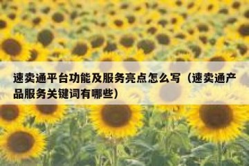 速卖通平台功能及服务亮点怎么写（速卖通产品服务关键词有哪些）