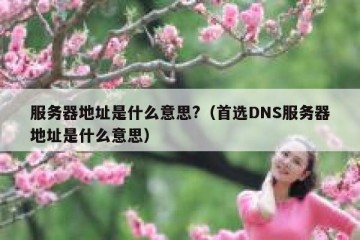 服务器地址是什么意思?（首选DNS服务器地址是什么意思）