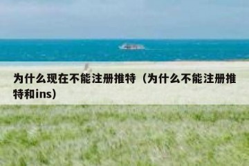 为什么现在不能注册推特（为什么不能注册推特和ins）