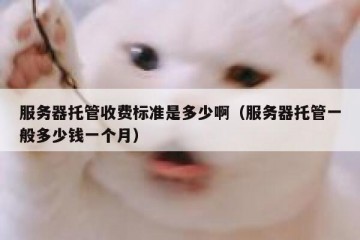 服务器托管收费标准是多少啊（服务器托管一般多少钱一个月）