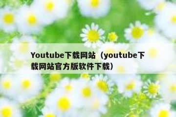 Youtube下载网站（youtube下载网站官方版软件下载）