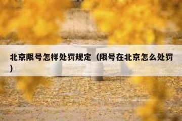 北京限号怎样处罚规定（限号在北京怎么处罚）