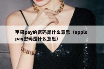 苹果pay的密码是什么意思（apple pay密码是什么意思）