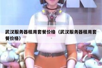 武汉服务器租用套餐价格（武汉服务器租用套餐价格）