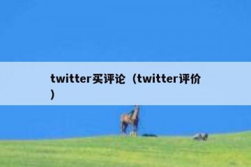 twitter买评论（twitter评价）