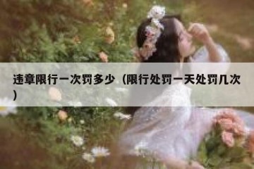 违章限行一次罚多少（限行处罚一天处罚几次）