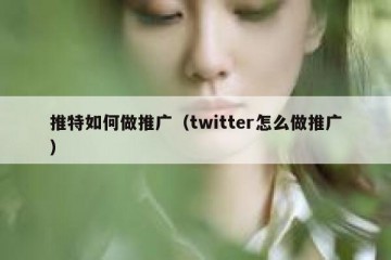 推特如何做推广（twitter怎么做推广）