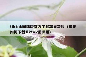 tiktok国际版官方下载苹果教程（苹果如何下载tiktok国际版）