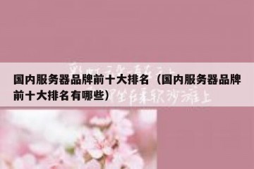 国内服务器品牌前十大排名（国内服务器品牌前十大排名有哪些）
