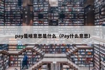 pay是啥意思是什么（Pay什么意思）