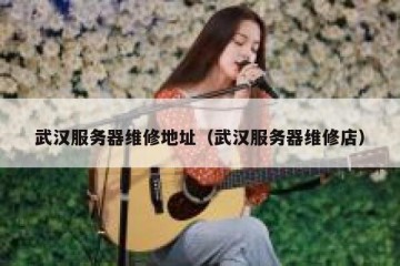 武汉服务器维修地址（武汉服务器维修店）