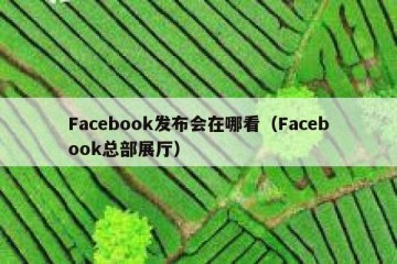 Facebook发布会在哪看（Facebook总部展厅）