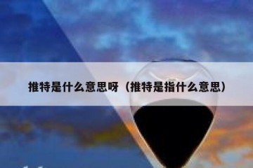 推特是什么意思呀（推特是指什么意思）
