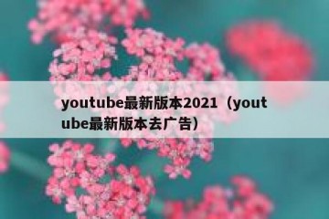 youtube最新版本2021（youtube最新版本去广告）