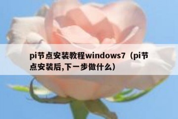 pi节点安装教程windows7（pi节点安装后,下一步做什么）