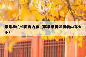苹果手机如何看内存（苹果手机如何看内存大小）