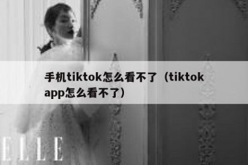 手机tiktok怎么看不了（tiktokapp怎么看不了）