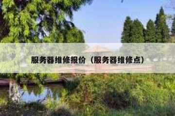 服务器维修报价（服务器维修点）