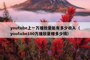youtube上一万播放量能有多少收入（youtube100万播放量赚多少钱）