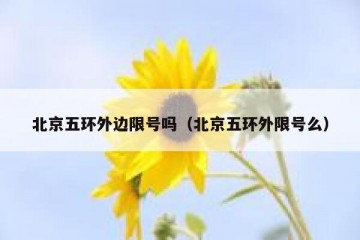 北京五环外边限号吗（北京五环外限号么）