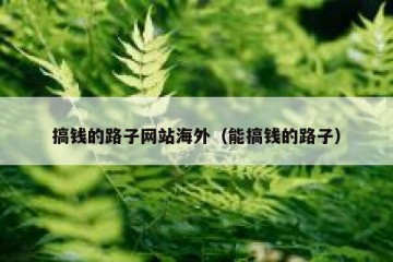 搞钱的路子网站海外（能搞钱的路子）