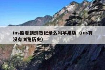 ins能看到浏览记录么吗苹果版（ins有没有浏览历史）