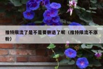 推特限流了是不是要删退了呢（推特限流不涨粉）
